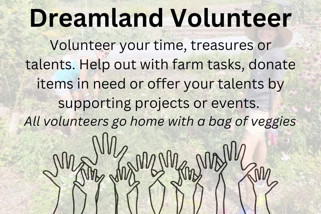 Dreamland Volunteers: April on the Farm