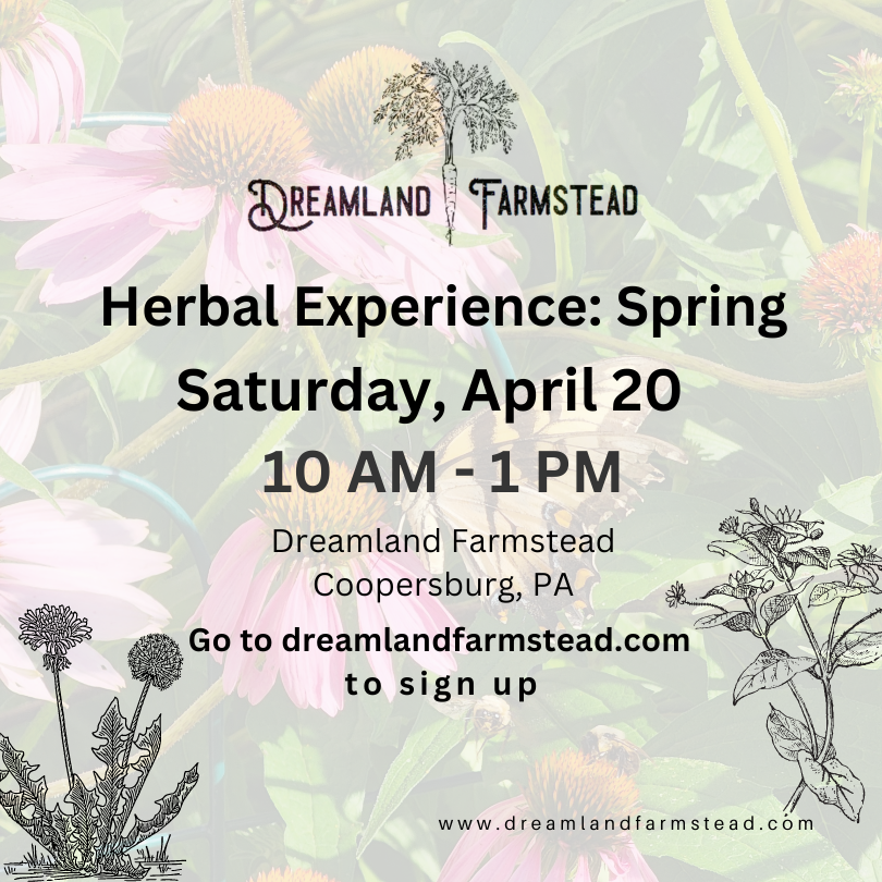 Dreamland Herbal Experience: Spring