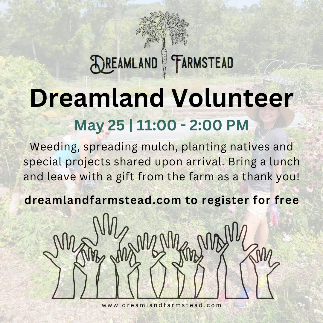Dreamland Volunteers: May on the Farm