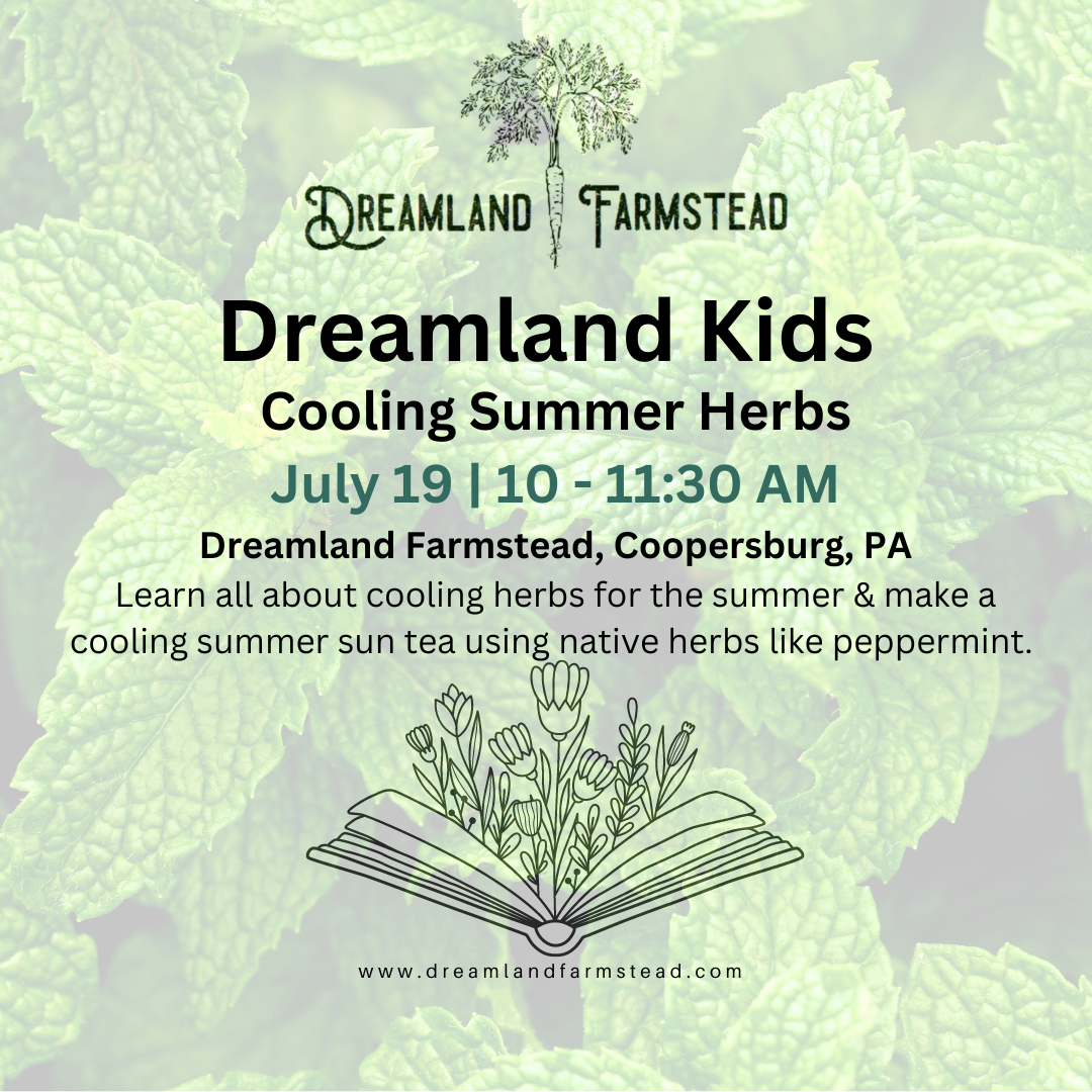 Dreamland Kids: Cooling Summer Herbs