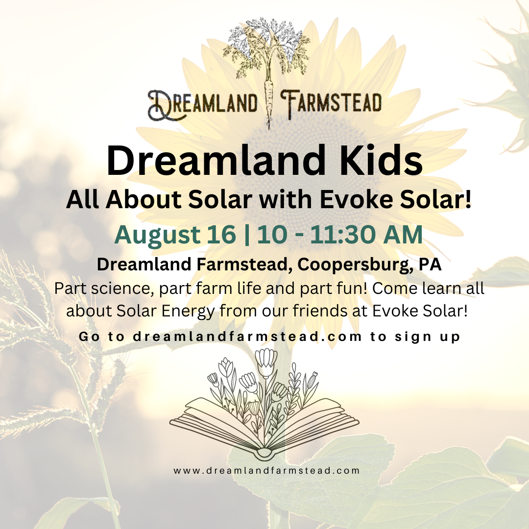 Dreamland Kids: All About Solar!