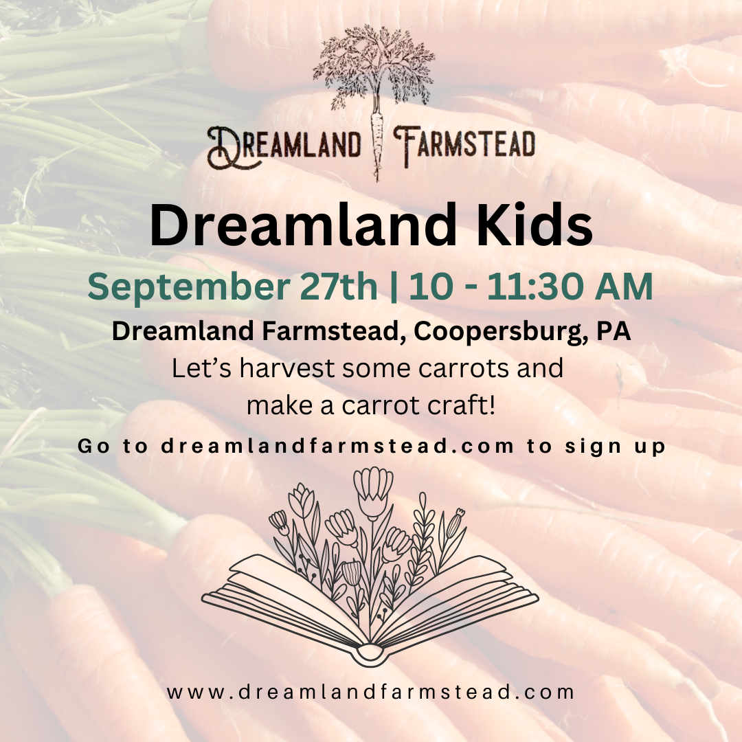 Dreamland Kids: Carrots & Craft
