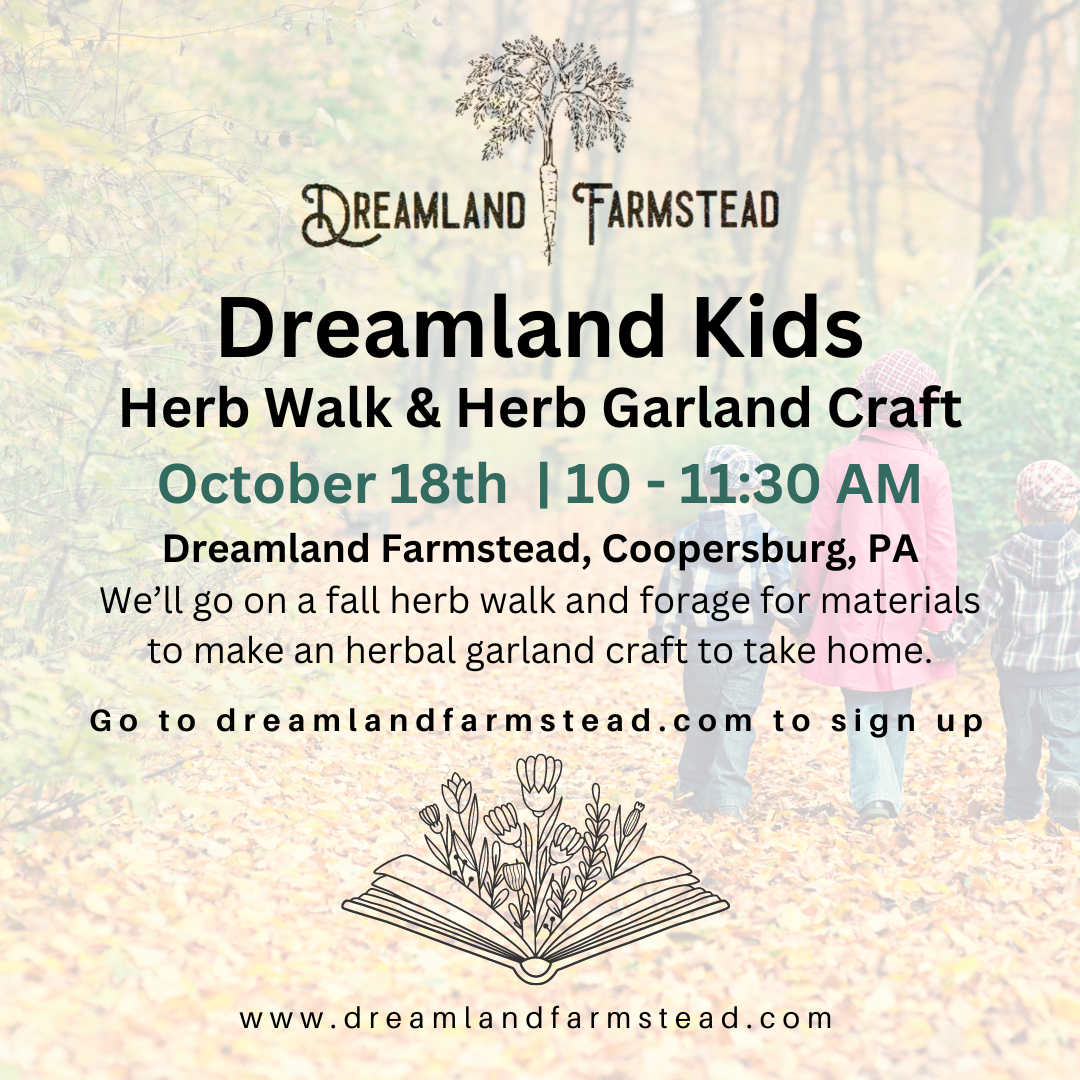 Dreamland Kids: Herb Walk & Herbal Garland