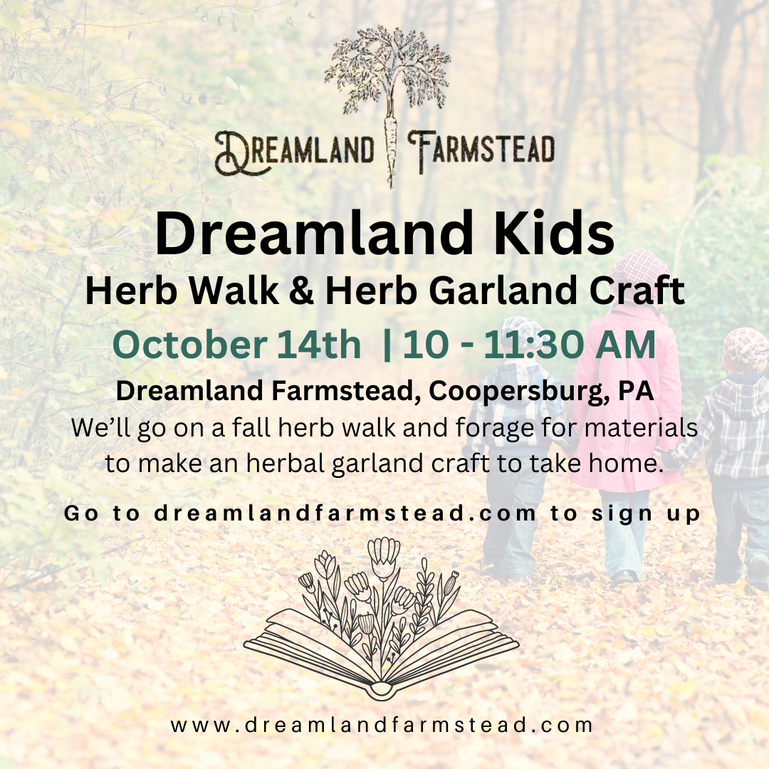 Dreamland Kids: Herb Walk & Herbal Garland