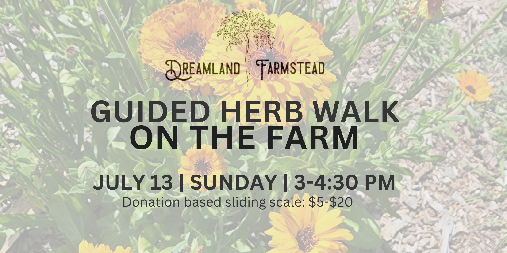 Dreamland Farmstead Guided Herb Walk