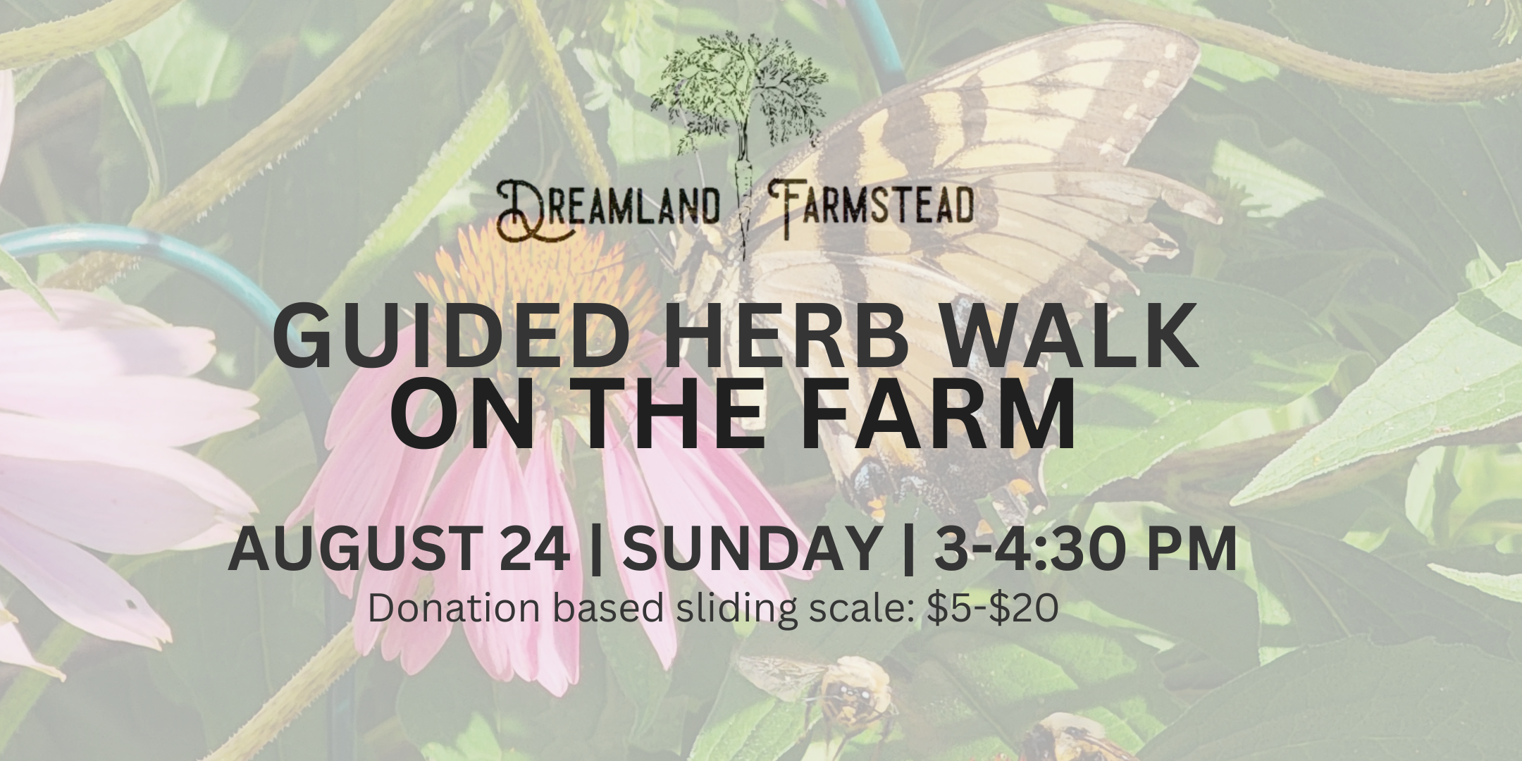 Dreamland Farmstead Guided Herb Walk