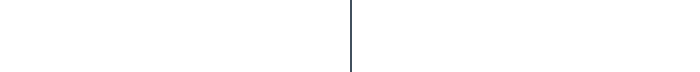 vertical line navy shorter.png