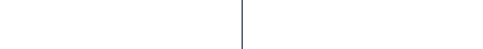 vertical line shorter.png