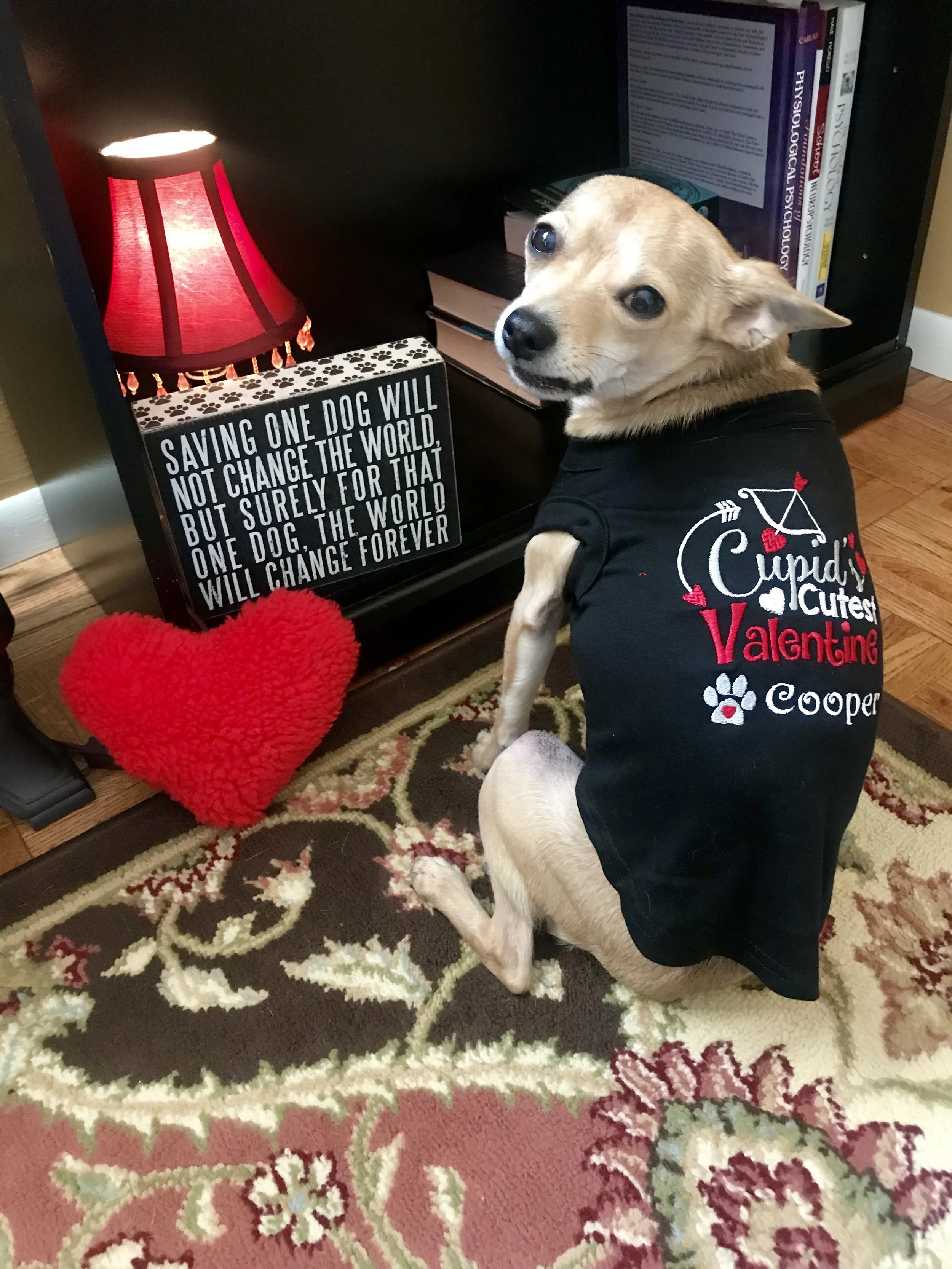 Valentine's Day Dog T-Shirt
