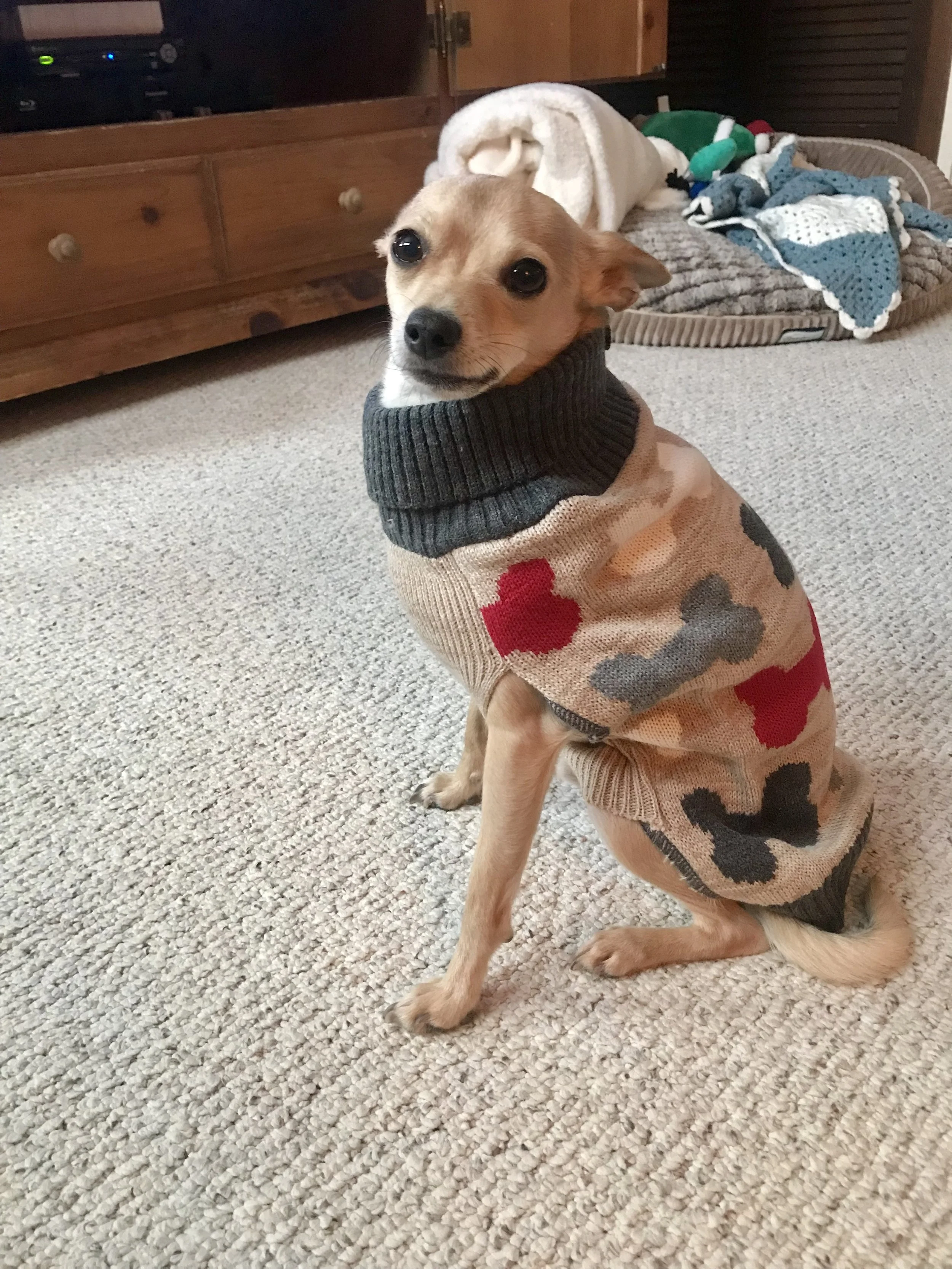Dog Bone Sweater 