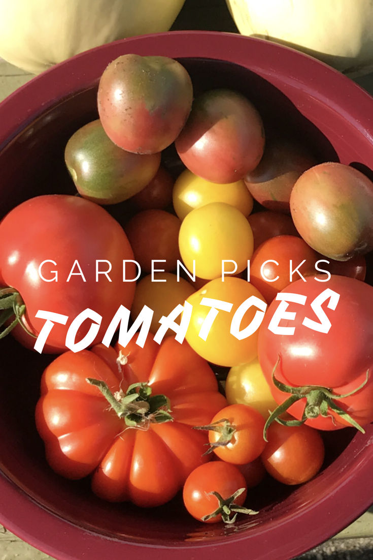 Garden Planning:  A Review of My Tomato Growing Plans