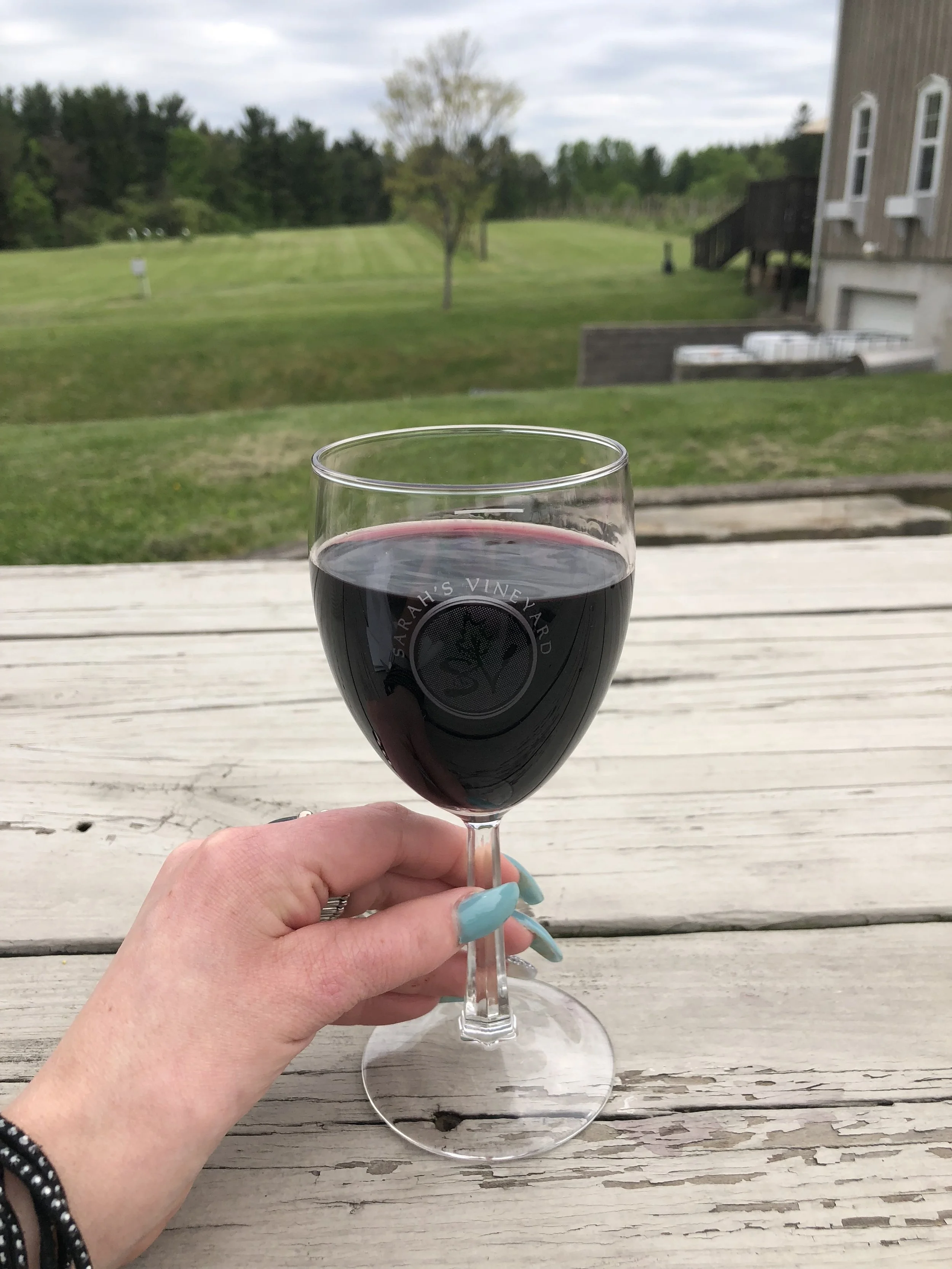 Beautiful view of the vineyard