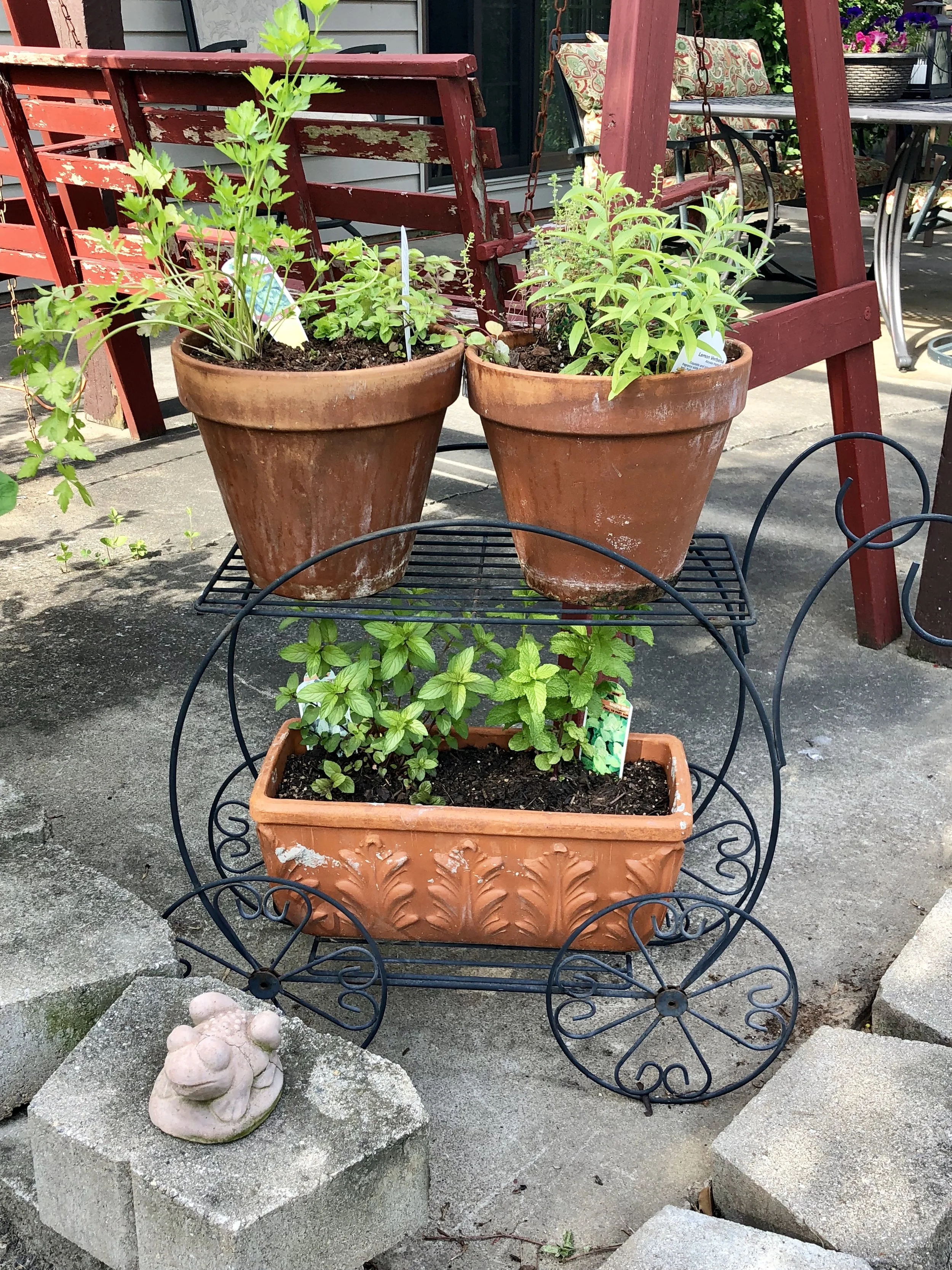 Patio Herb Garden Made From an Estate Sale Find