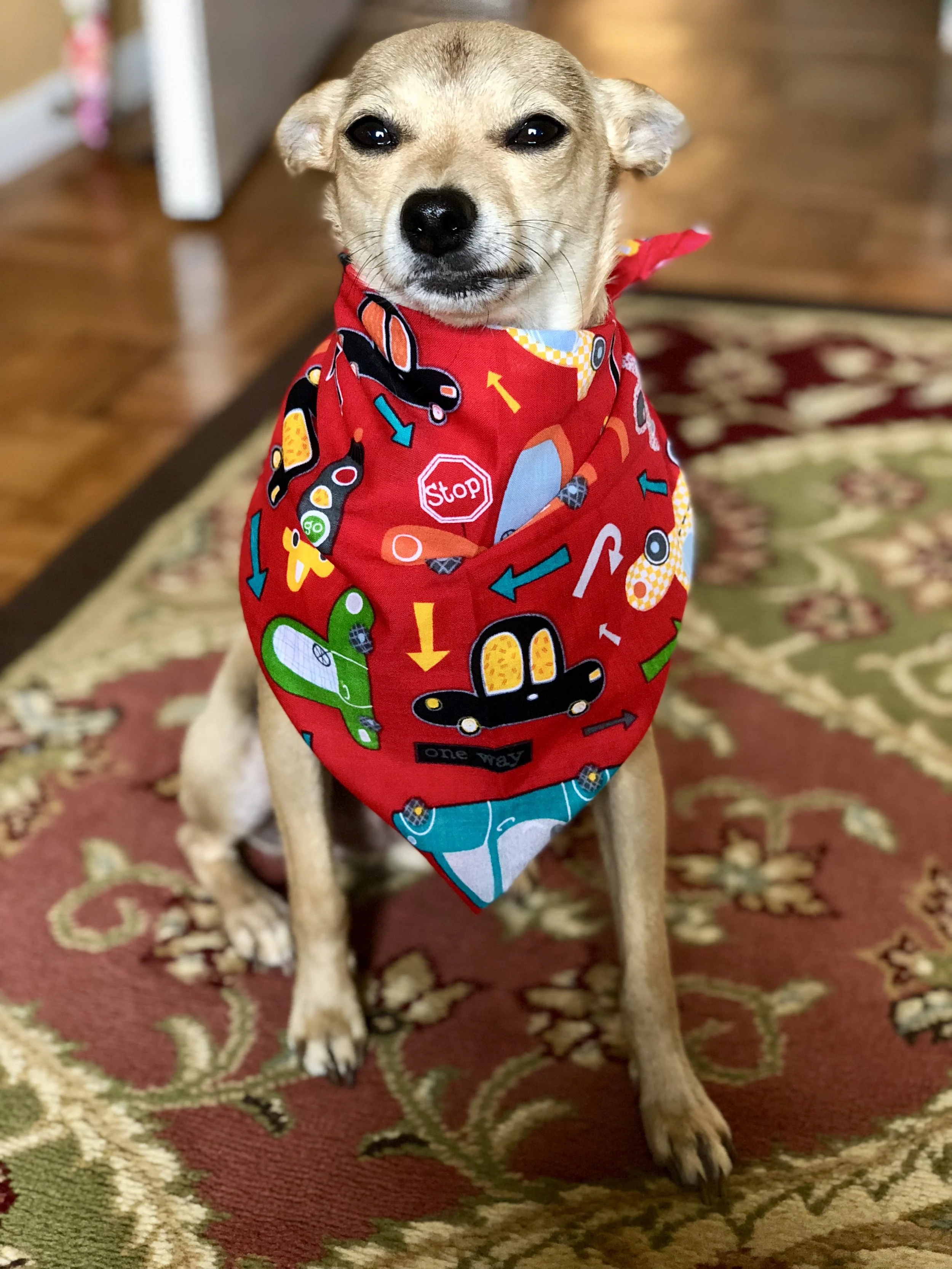 Fun Bandana For Small Dog Made From Fabric Quarter Scraps