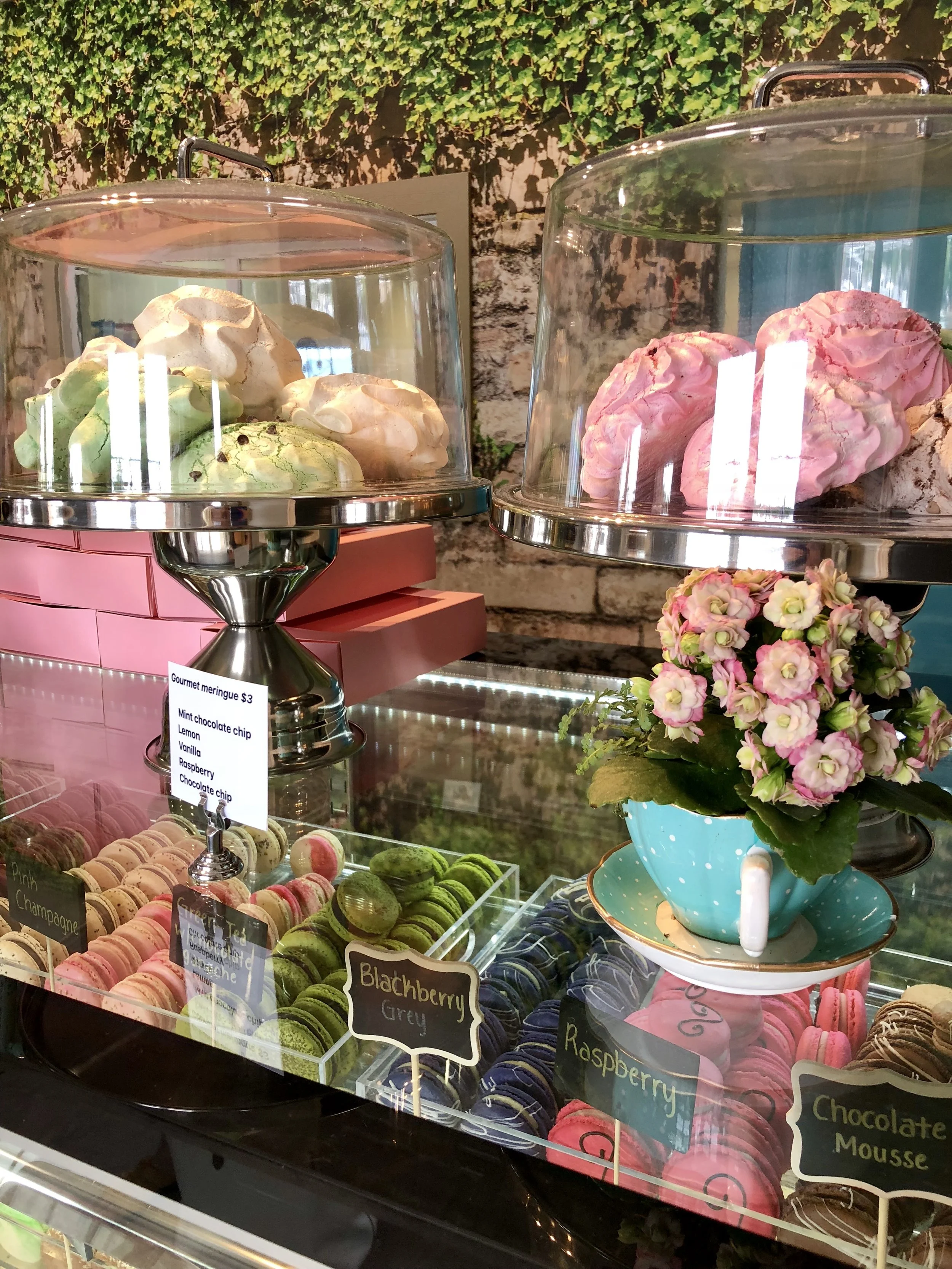 Meringue and Macarons