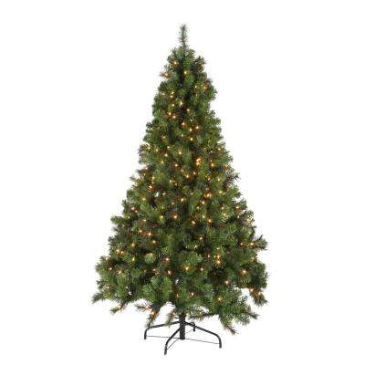 home-accents-holiday-pre-lit-christmas-trees-w14l0467-64_400_compressed.jpg