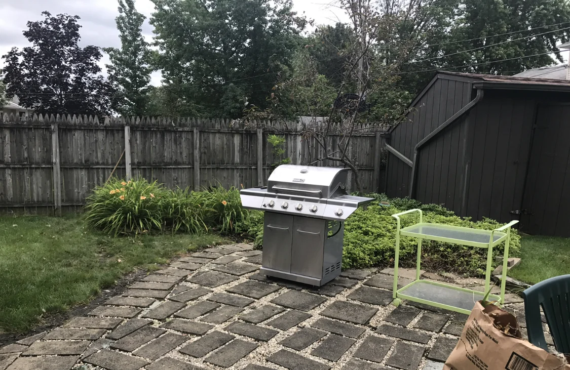 BEFORE PHOTO