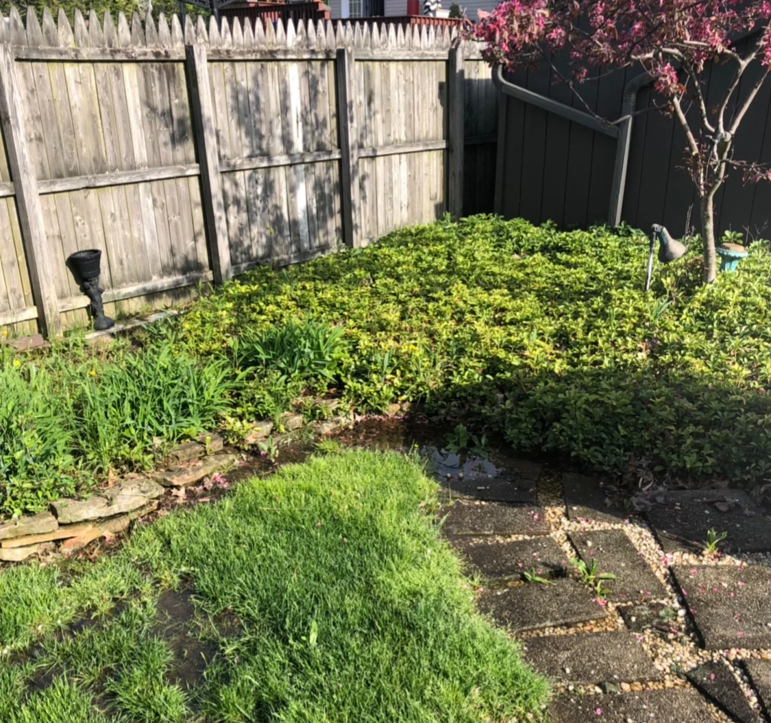 BEFORE PHOTO