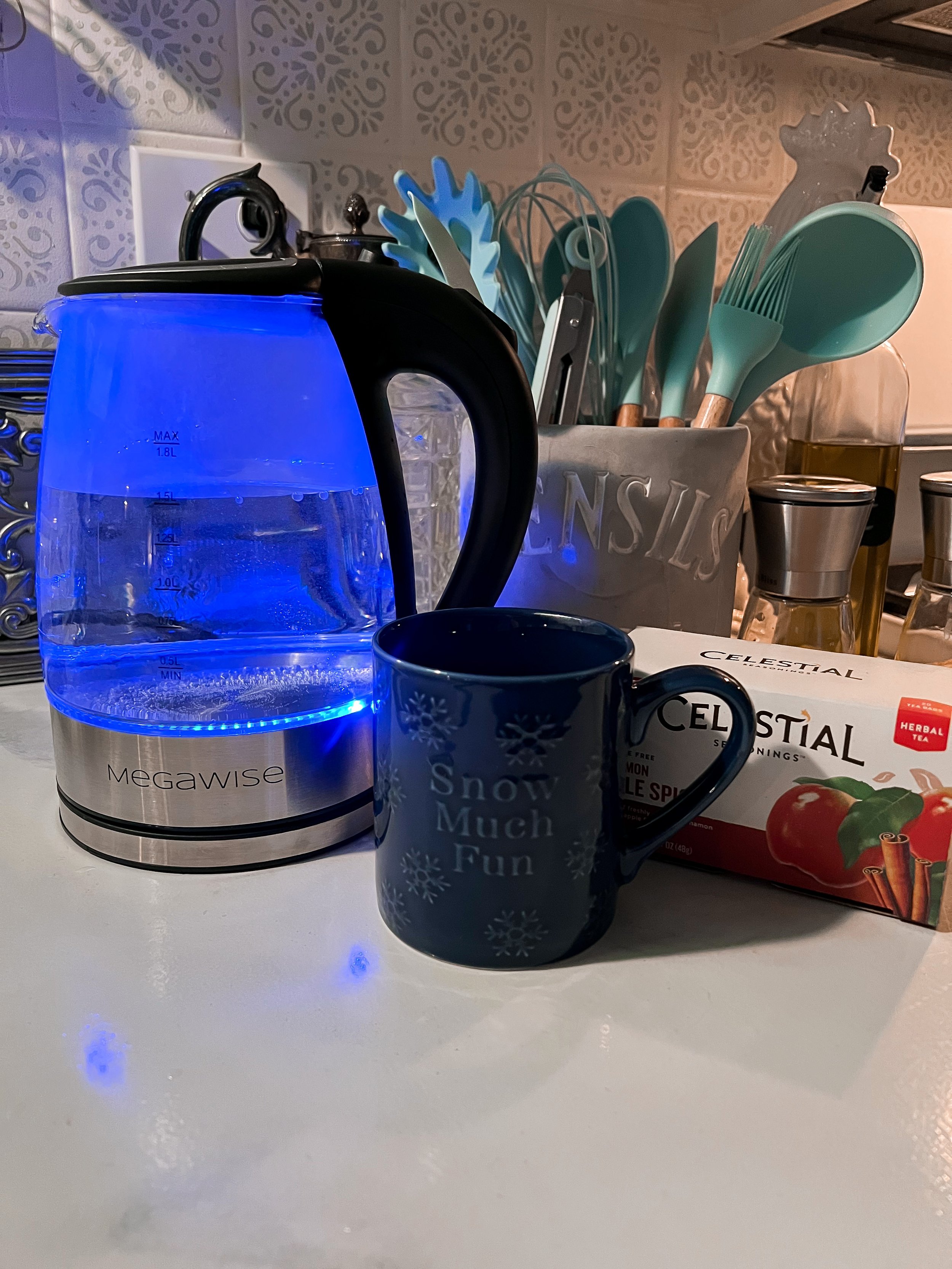 Megawise Electric Kettle