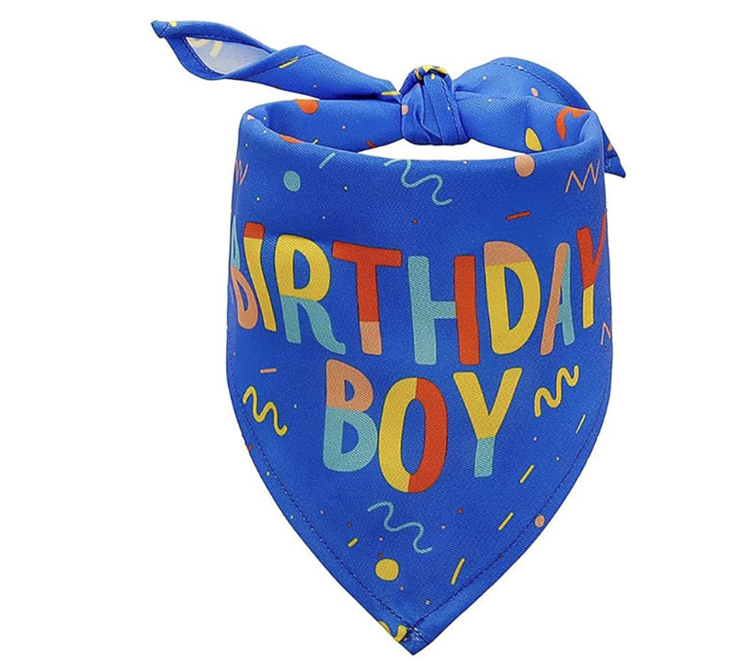 Birthday Boy Bandana