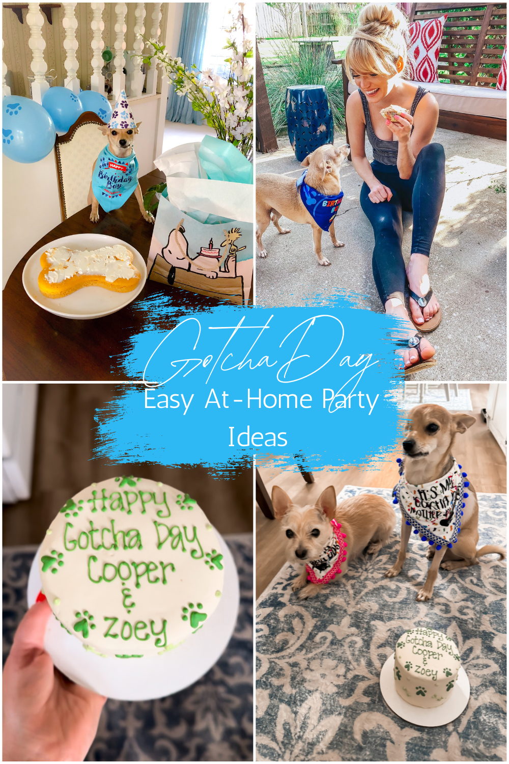 collage of photos showing different gotcha day celebrations for your dog