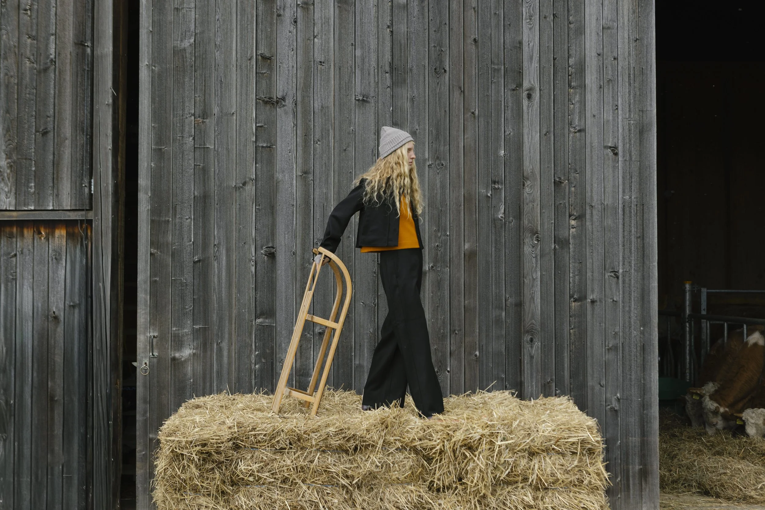 automne hiver