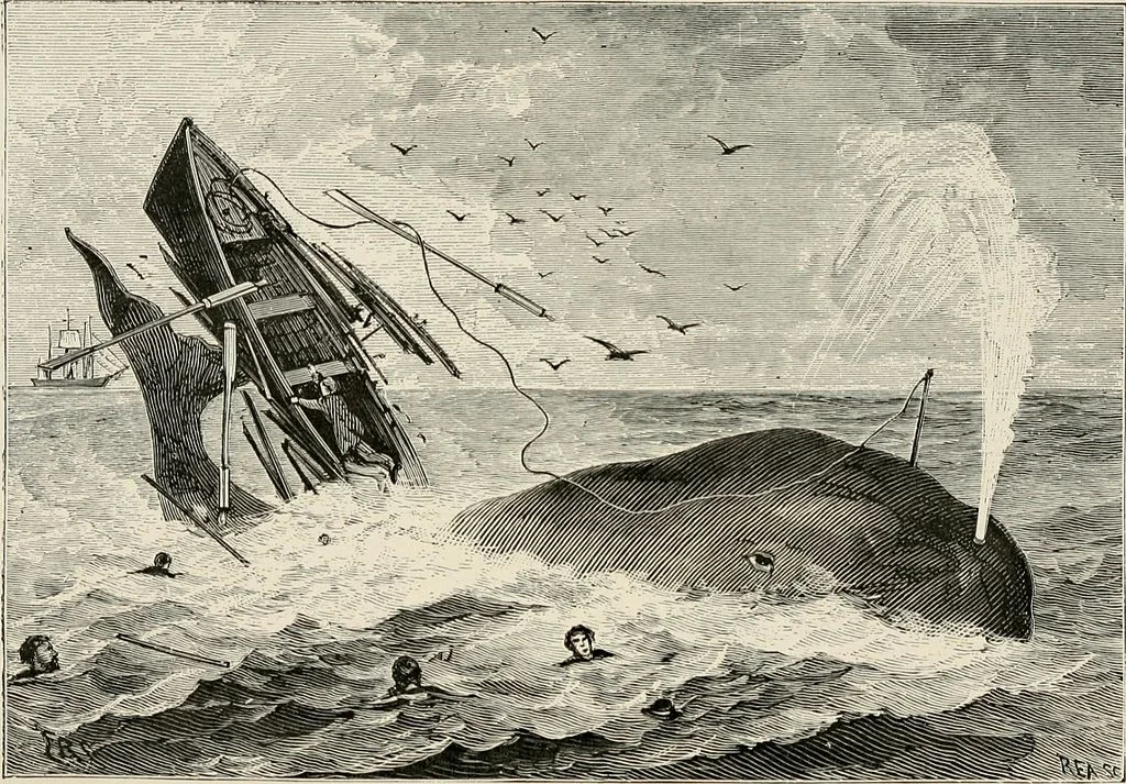 Frank Nelson in the forecastle : or, The sportsman's club among the whalers , by Harry Castlemon, 1876, no known copyright restrictions