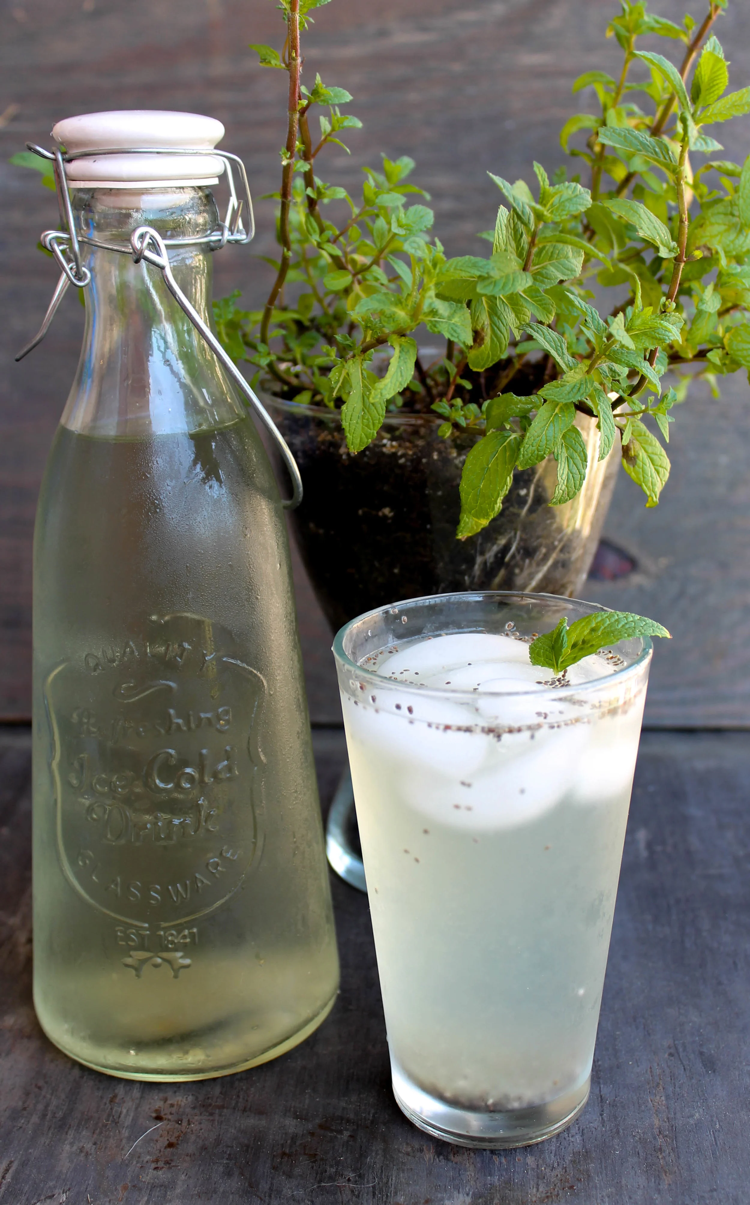 Cucumber Mint Chia Fresca is an easy and flavorful beverage that keeps you hydrated through Summer months and possibly help you with your soda/caffeine addiction!