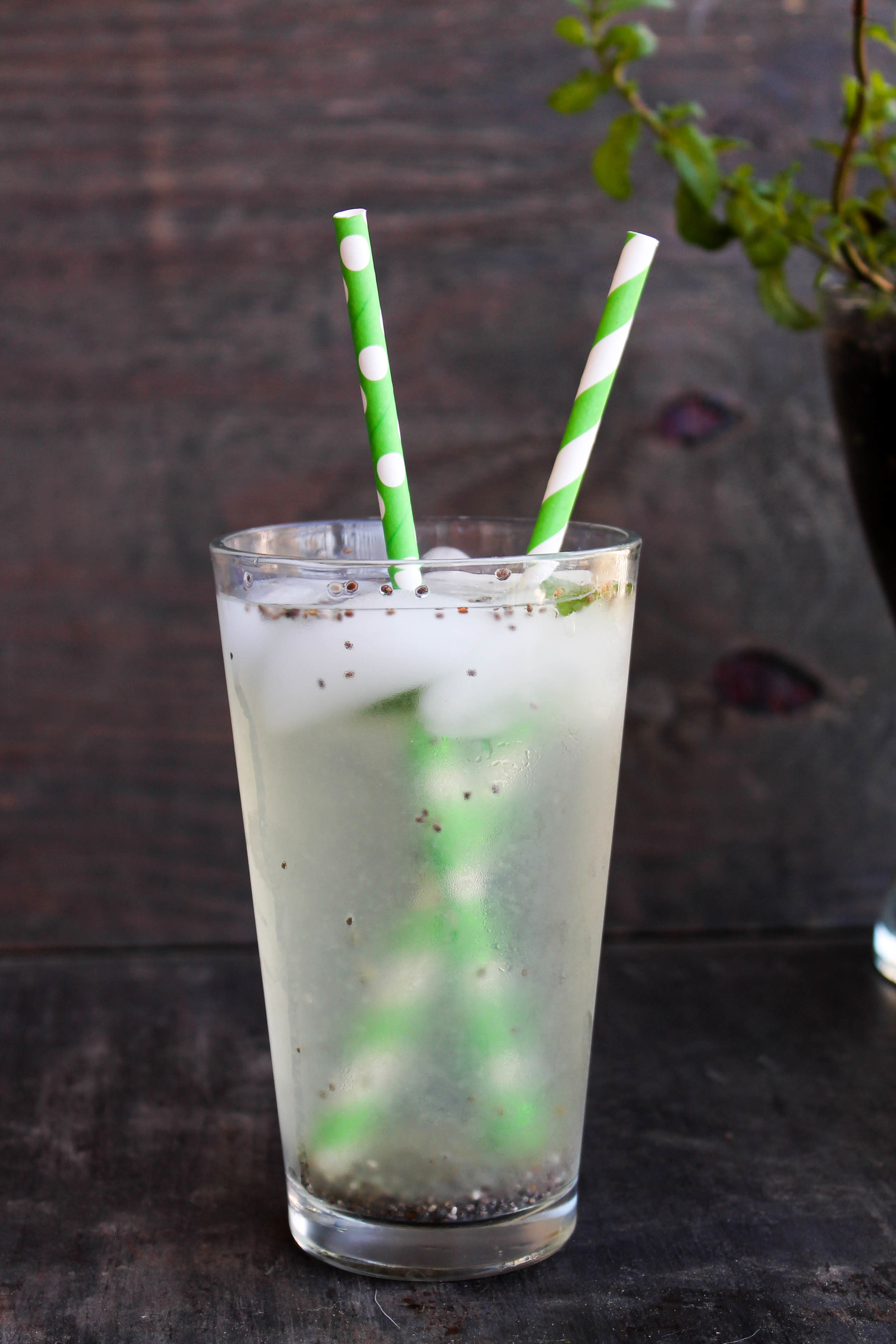 Cucumber Mint Chia Fresca is an easy and flavorful beverage that keeps you hydrated through Summer months and possibly help you with your soda/caffeine addiction!