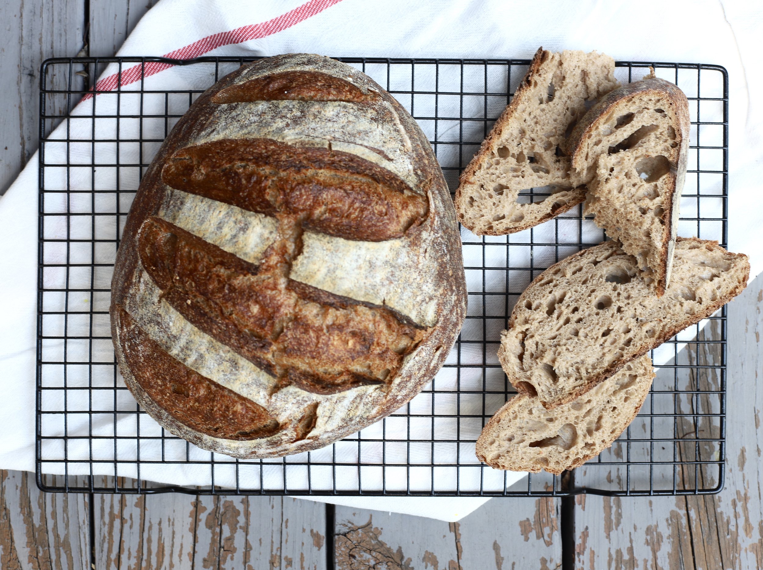 Beginner's Guide to Sourdough Bread