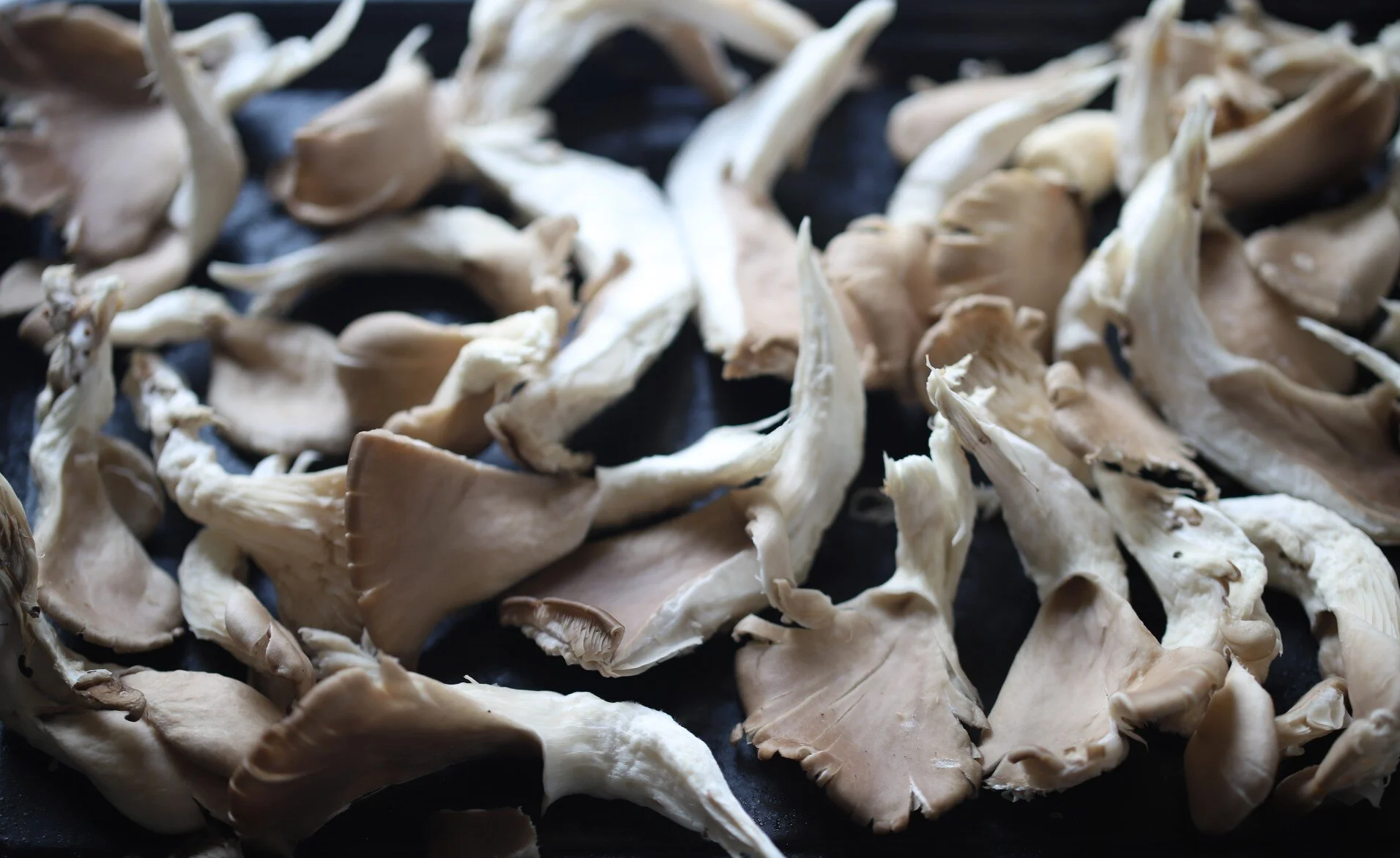 Nepali Mushroom Choyela Food Pleasure and Health
