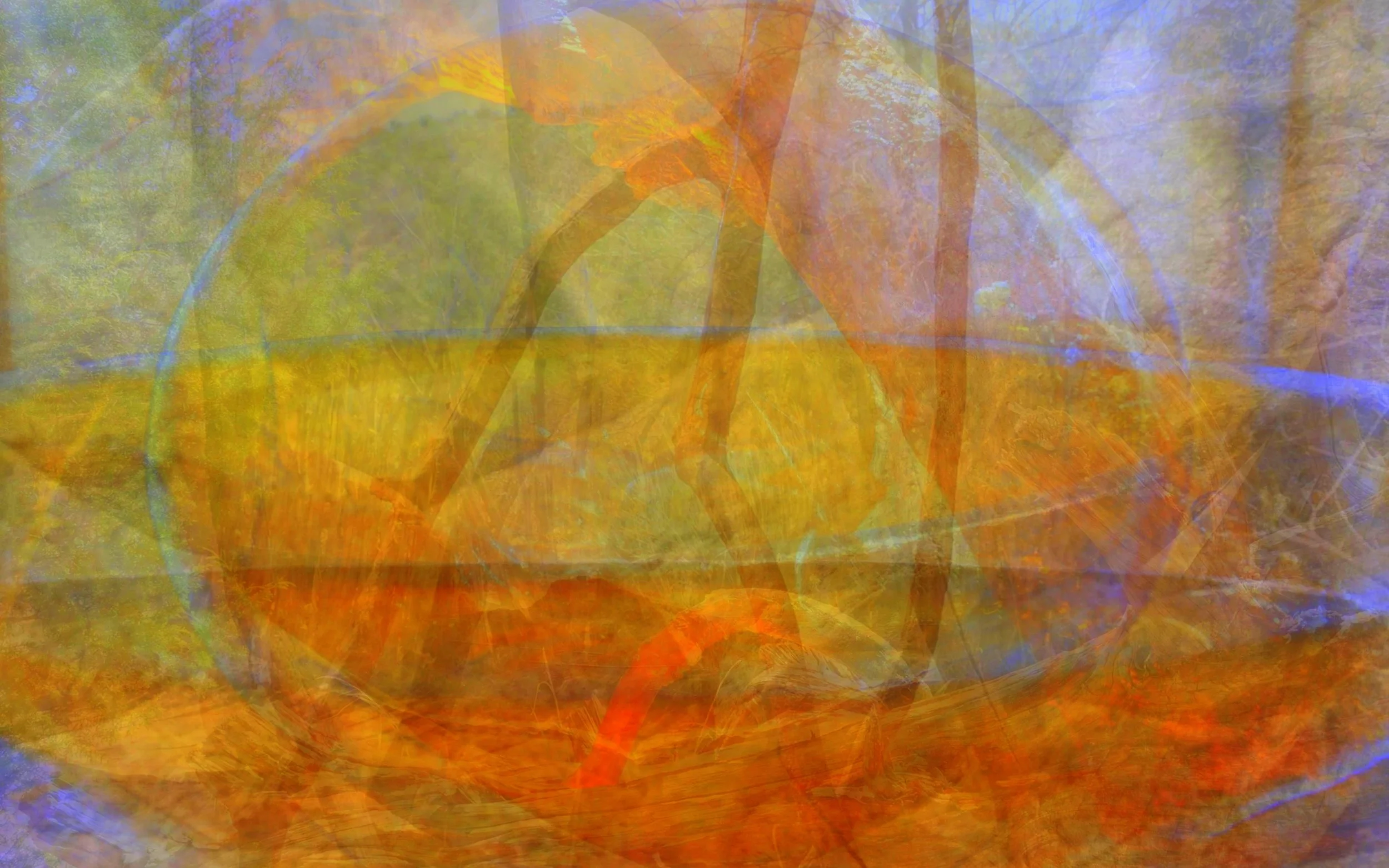 glass show.jpg