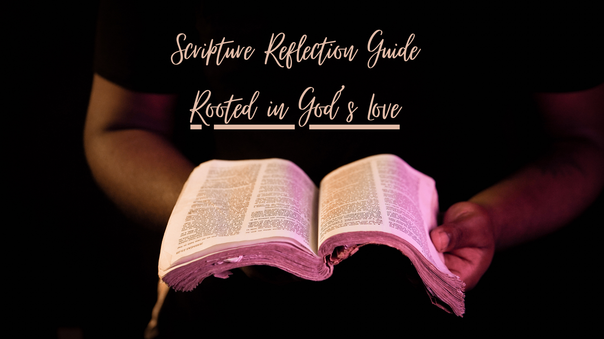 Scripture Reflection: Rooted in God's Love