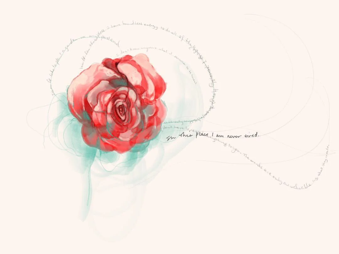 In this Place I am Never Tired, 2016