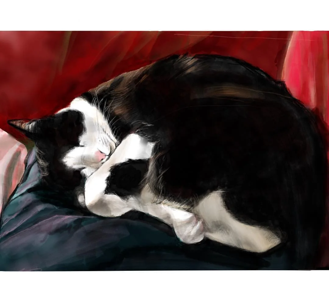Sleeping Cat, 2016