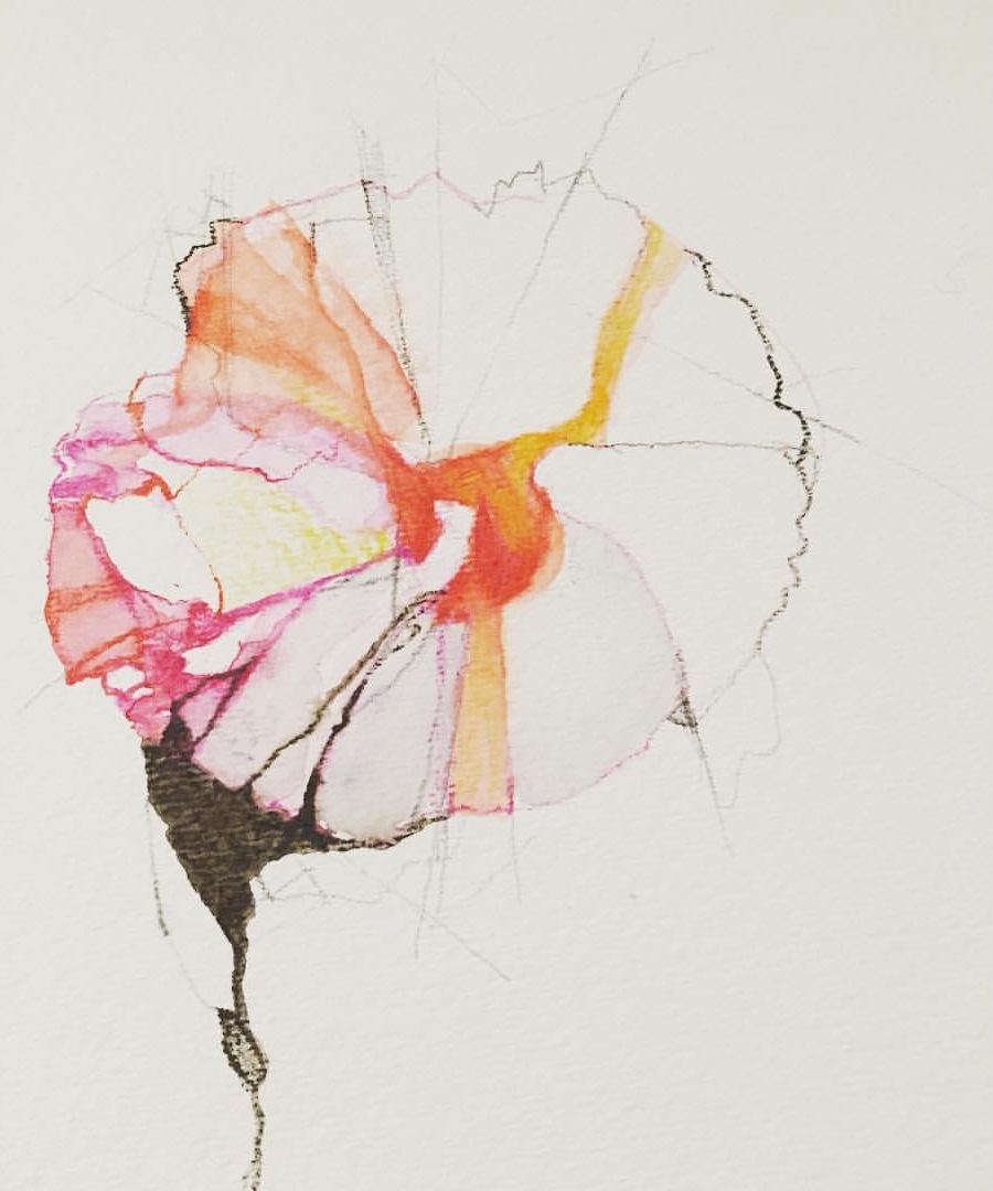 One Flower, 2014