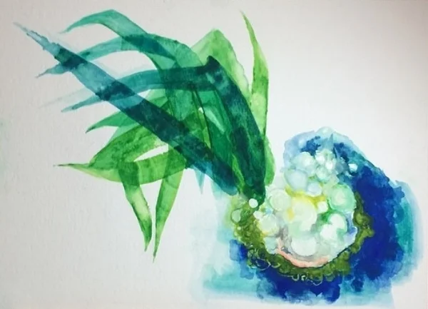 An Odd Plant, 2014