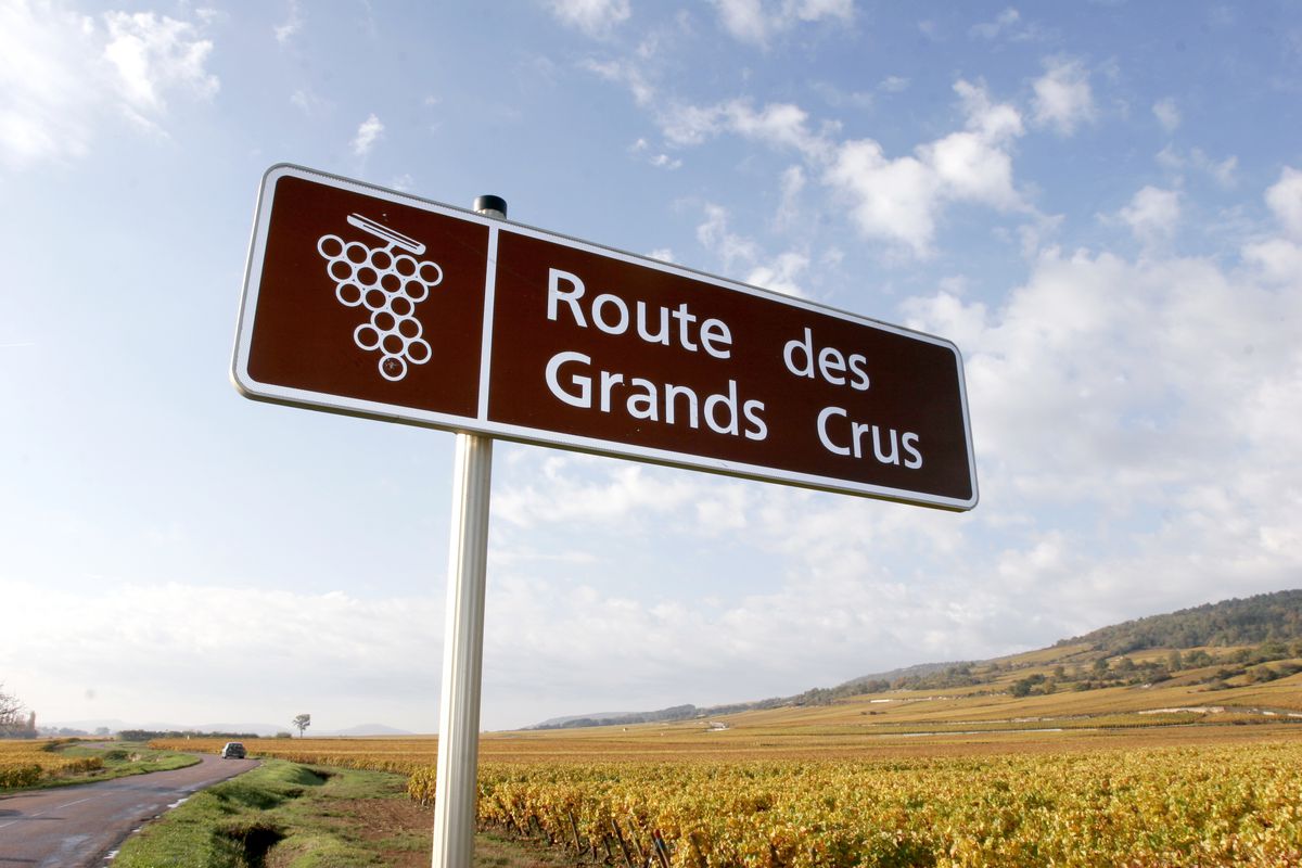 route_des_grands_crus.jpg