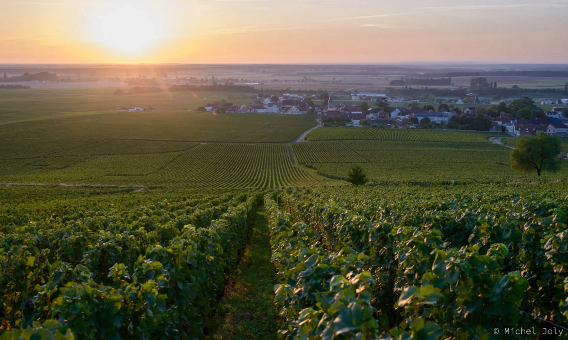Berthaut-Petits-Monts-1140x683.jpg