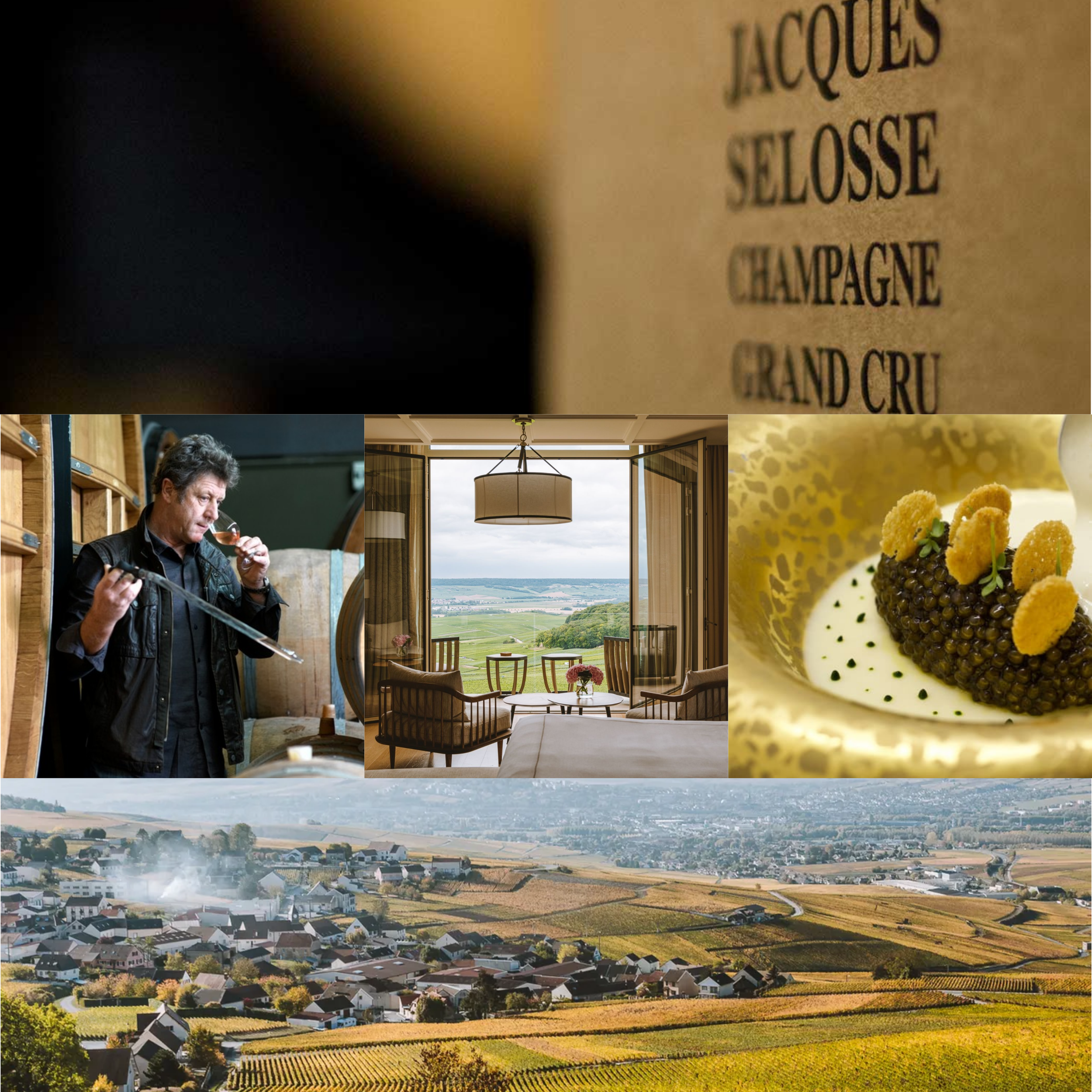 Pressoir Trip to Champagne