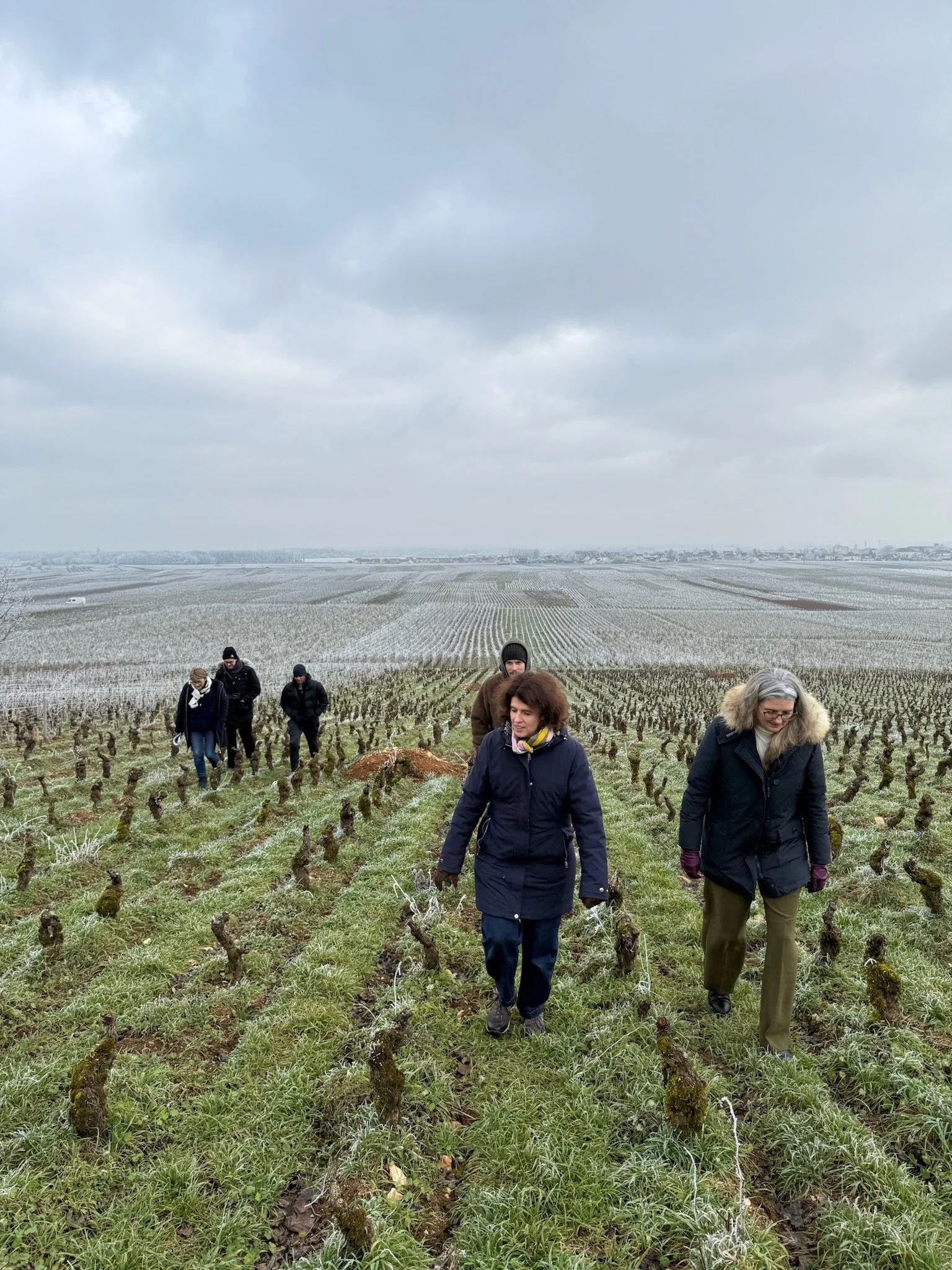 sommelier scholarship fund trips in 2026