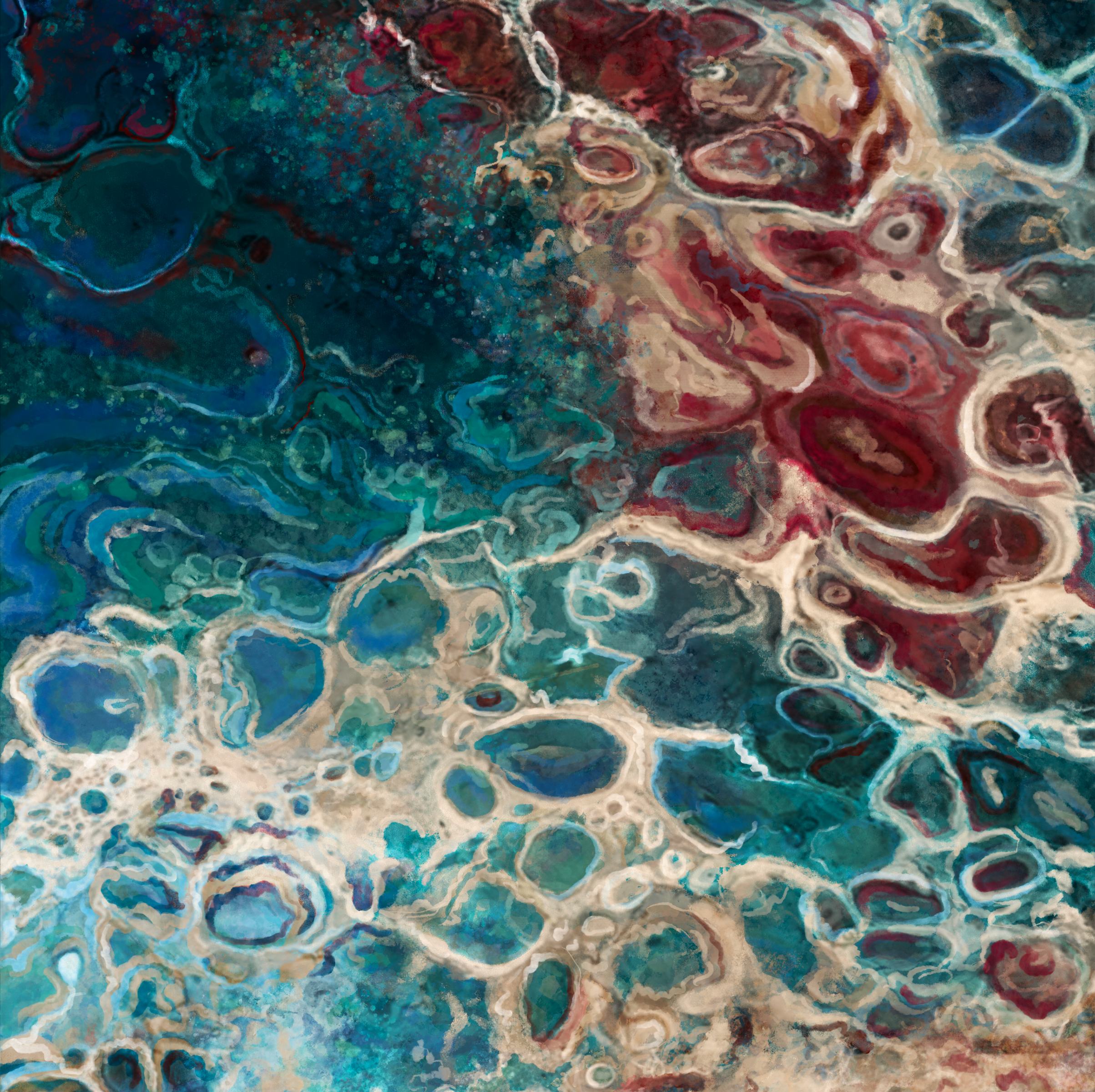 8' x 8' from Procreate