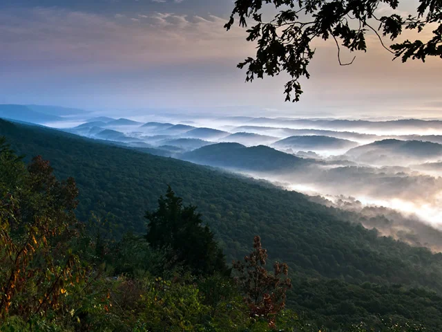 Cumberland Plateau No 6.jpg
