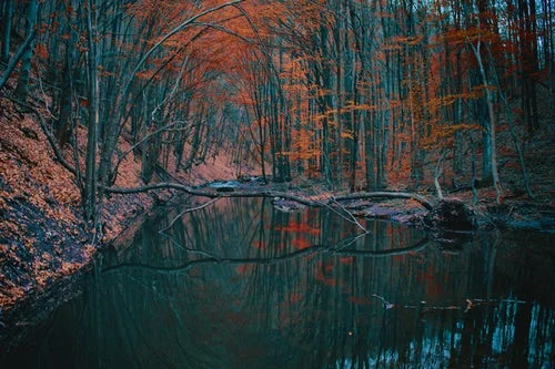 Fall pond.jpg
