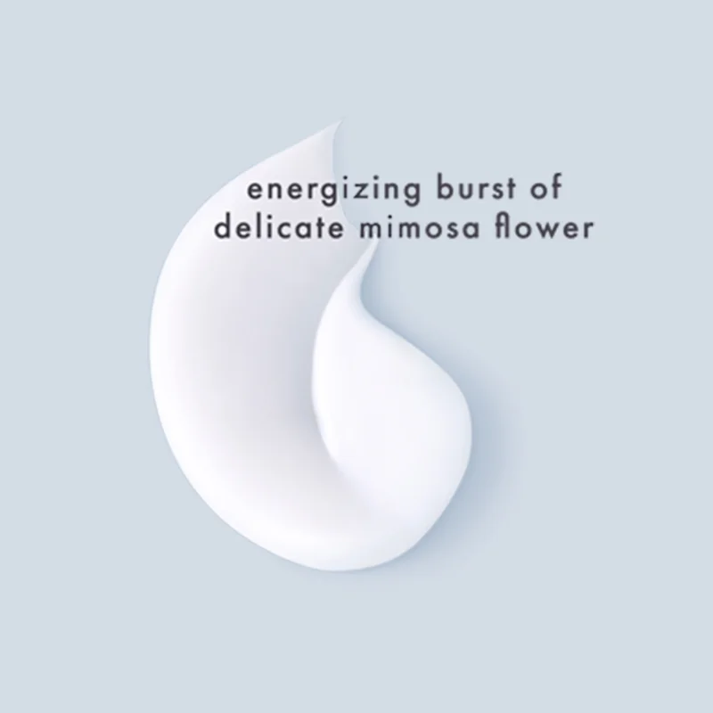 Content_Mimosa.jpg