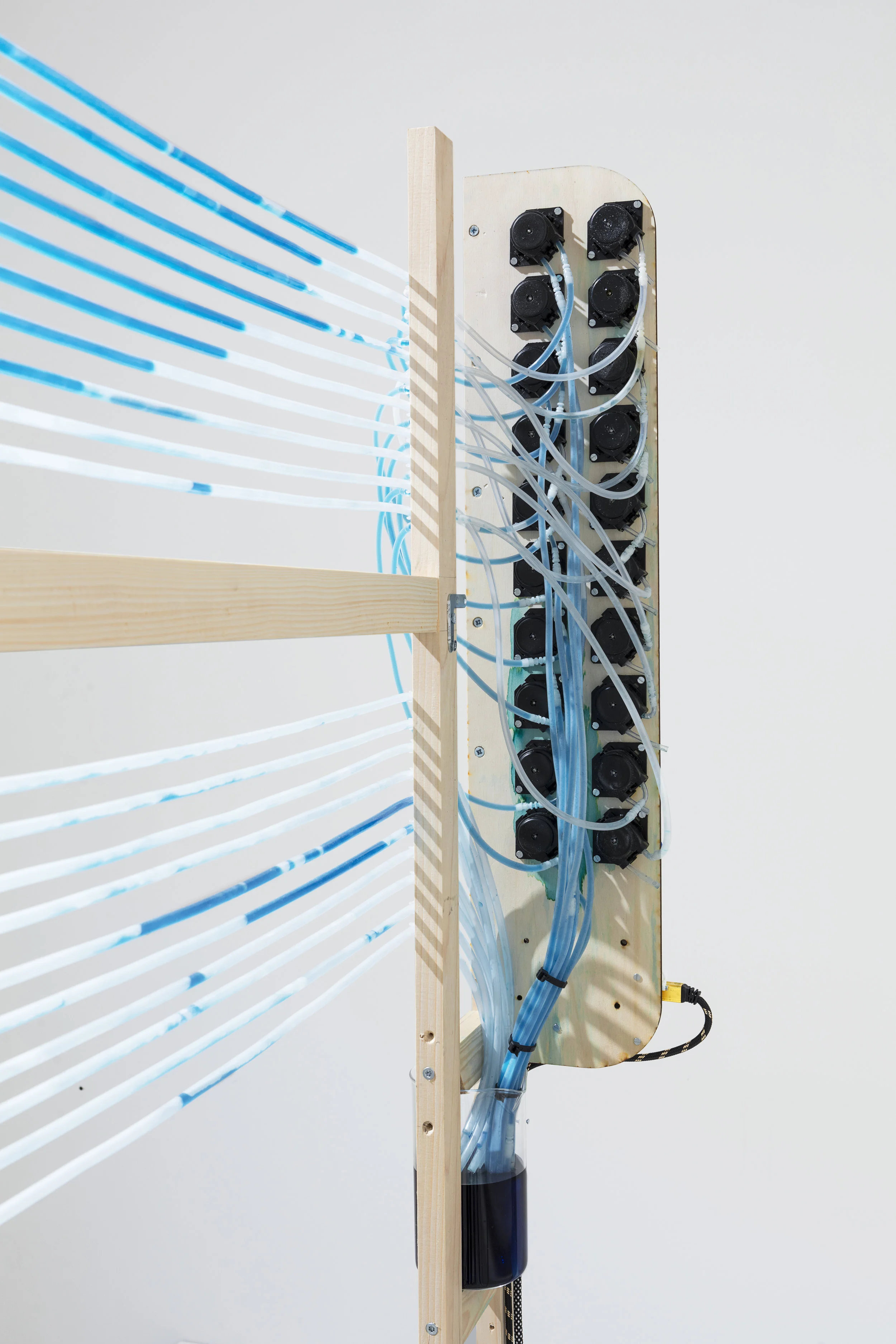 Phénomènes_Pinaffo_Pluvinage_Madd_Bordeaux_06_06.jpg