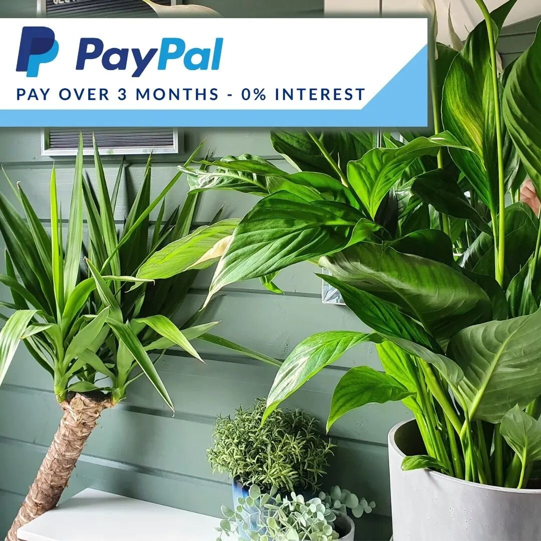 🖤 P A Y &bull; I N &bull; 3 🖤

Introducing a new finance option! PayPal checkout means you can select the option to spread the cost of your treatments into three, 0% interest payments. 

With everybody feeling the pinch at the minute, it's a little