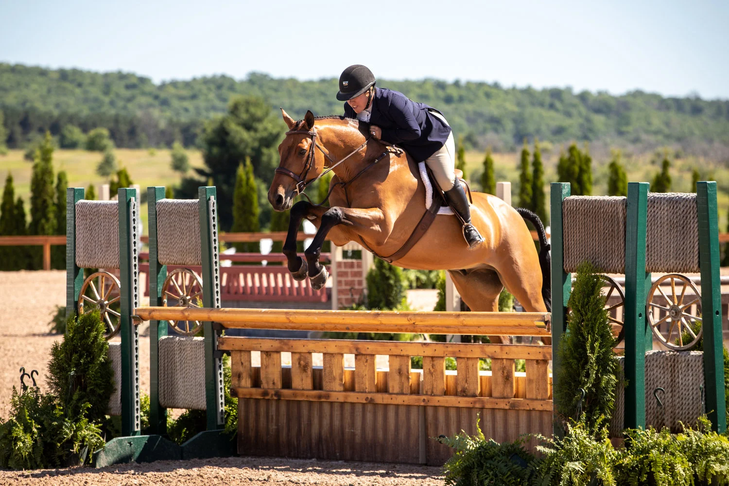 Great Lakes Equestrian Festival Week 1 Results Recap! - July 4-8, 2018
