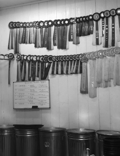 The True North Feeding Program: What We Supplement and Why