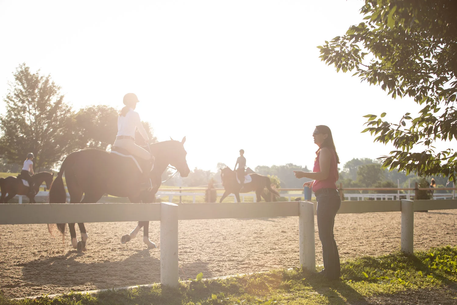 An Emphasis on Horse Care: When and Why Our Horses Get Acupuncture and Massage 